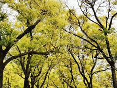 -永定河休闲森林公园