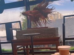 -JRCAFE玖如空间