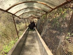 -青峰峡国家森林公园