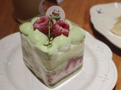 开心果树莓-Kekimatata 生日蛋糕·烘焙教学