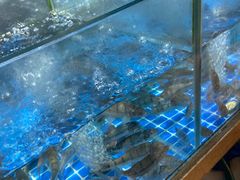 -头上红煨盐鸡·非遗院子餐厅