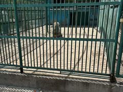 -秦皇岛野生动物园