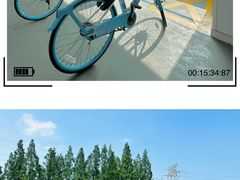 -上海滨江森林公园