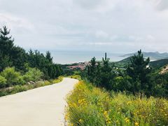 -威海大乳山景区