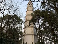 -南山植物园