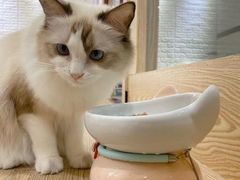 -iF摄影•全家福•证件照•形象照(南山店)