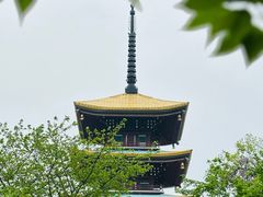 -东湖磨山景区