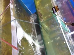 -兄弟爬爬虾(北京路店)