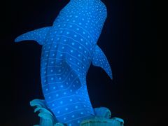 -珠海长隆海洋王国