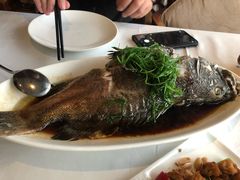 清蒸老虎斑-梧桐餐厅(泉城路店)