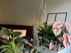 -不起眼麻辣烫凉皮店