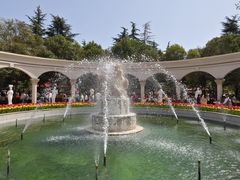 -洛阳郁金香牡丹园