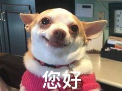 -海底捞火锅(连城广场店)