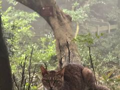 -普陀山慧济禅寺