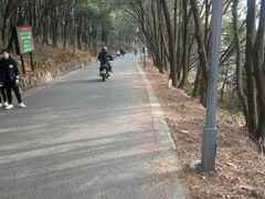 -雨花胜境