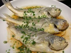 臭黄鱼-富临轩私房菜(集庆门大街店)
