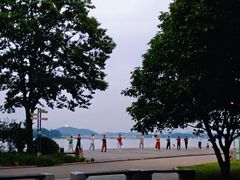 -长广溪湿地公园