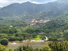 -深圳仙湖植物园