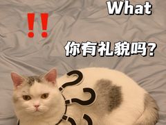 -关爱宠物医院·猫科中心·消化科(滨湖万达分院)