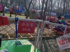 -1982农场