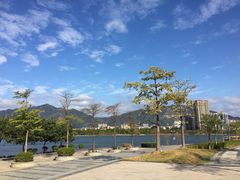 -飞来湖湿地公园