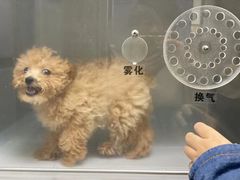 -瑞派宠物医院(锦江店)