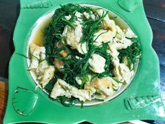 -沙洲胡杨焖饼