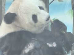 -无锡动物园·太湖欢乐园