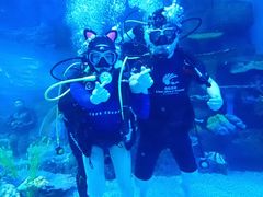 -华夏文旅海洋公园