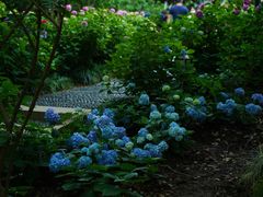 -常州古运河南大街文化旅游区-人民公园