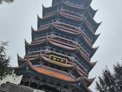 -铁山坪森林公园