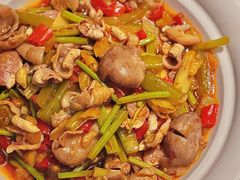 泡脚鱼肚-一品红川菜(皇岗店)