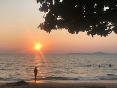 -卷心菜和避孕套餐厅(Pattaya)