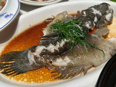 -新兴·金羊座·粤菜点心(乐峰店)