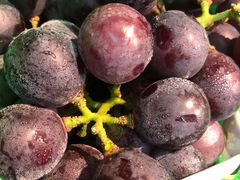 -大润发(勤业店)