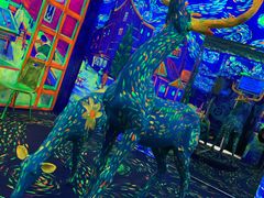 -天津梵高星空艺术馆(天河城旗舰店)