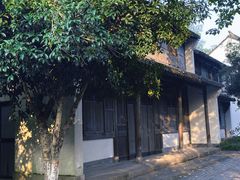 -西溪国家湿地公园