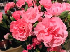-L'Arome芳芳法国餐厅(仙林金鹰店)