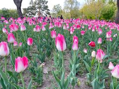 -长春公园(普阳街道)