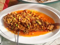 干烧大黄鱼-同和居(月坛店)