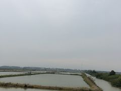 -大湾区中央湿地公园-十九涌