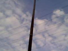 -布吉农产品批发市场