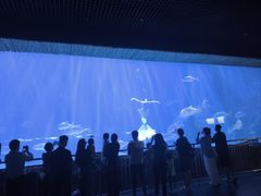 -华夏文旅海洋公园