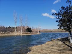 -大兴滨河森林公园