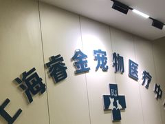 -睿金宠物医院·CT·肿瘤·骨外科