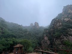 -大岭沟猕猴桃谷风景区