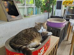 -小时光咖啡馆(北锣鼓巷店)