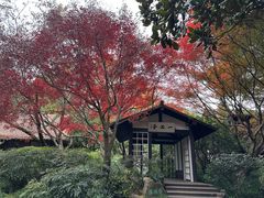 -中国茶叶博物馆(双峰馆区)
