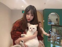 -飞行喵MR PILOT|猫舍·猫咖(静安大融城店)