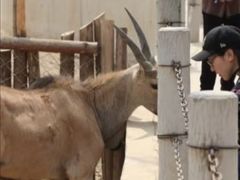 -荆州中山公园动物园